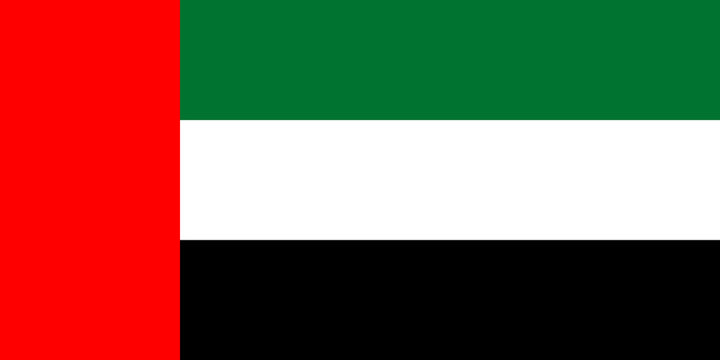 Dubai Flag